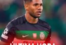 Matheus Reis reage às acusações: “Nunca tive intenção de agredir Belotti”
